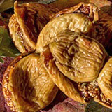 Fico secco mandorlato di San Michele Salentino