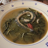 Anguilla di Lesina